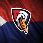 Roshandi Rochester Crib #445408091                